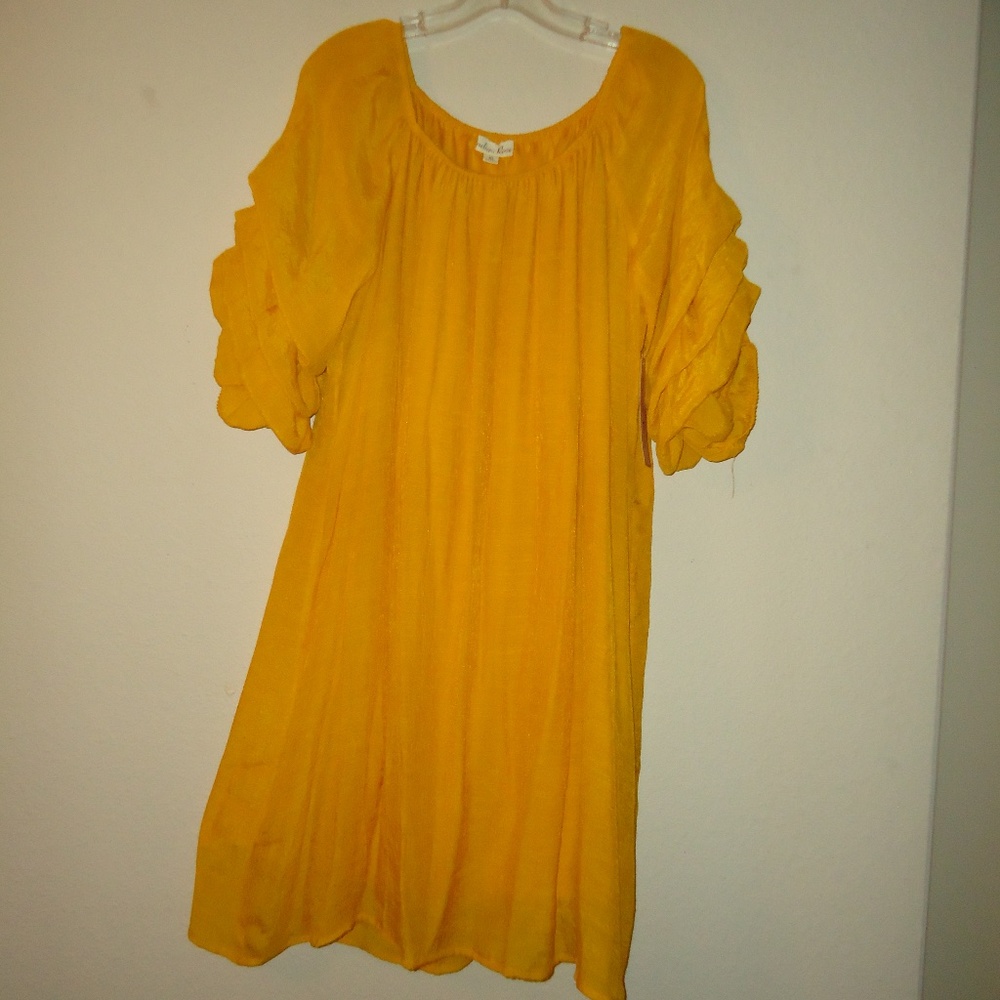 NWT Indigo Rose Women's Dress Mustard Lining Size-XL Condition: New with tags